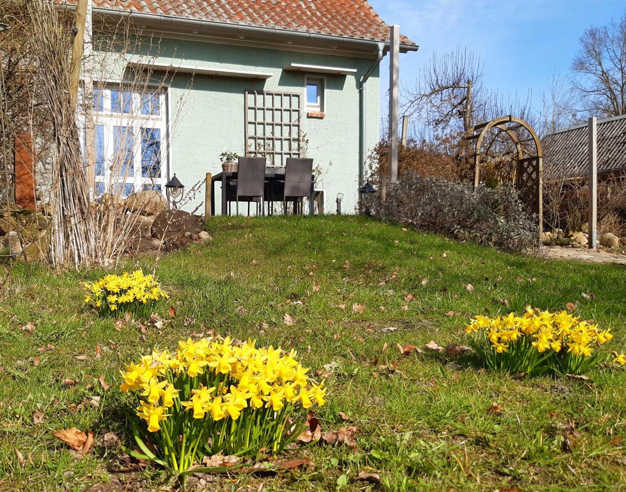 Ferienhaus Salvia Gremersdorf-Buchholz Exterior photo