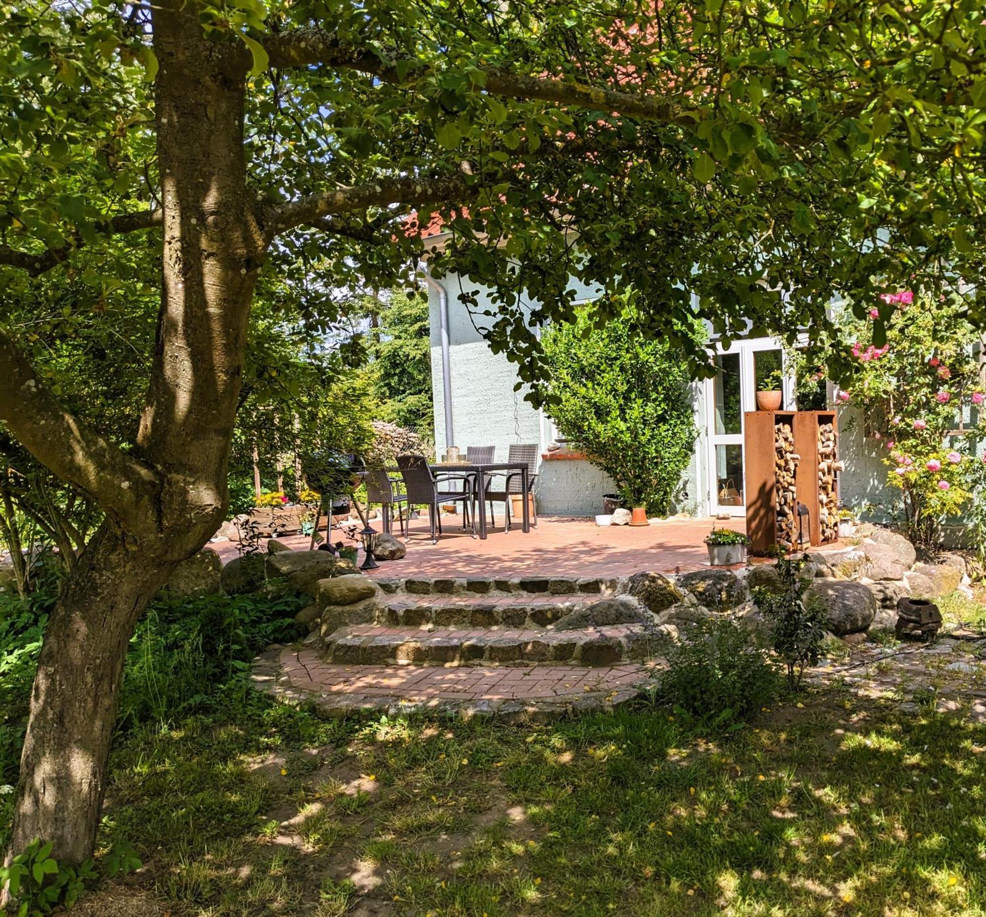 Ferienhaus Salvia Gremersdorf-Buchholz Exterior photo